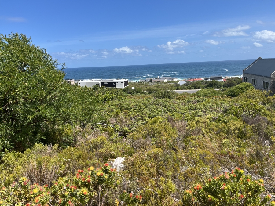 0 Bedroom Property for Sale in Bettys Bay Western Cape